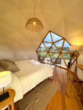 Colmena EcoGlamping